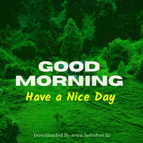40 Good Morning Have a Nice Day Images Download in HD 8 »