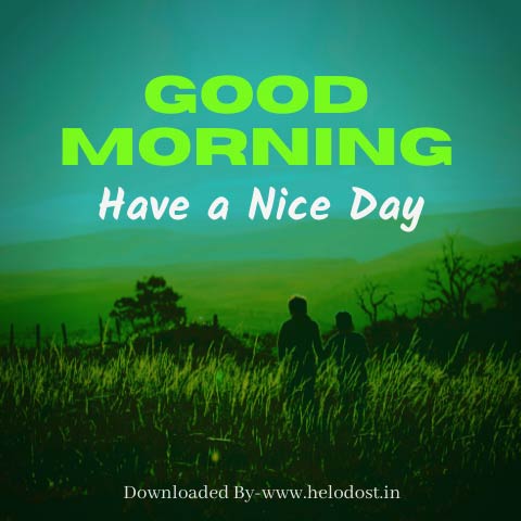 40 Good Morning Have a Nice Day Images Download in HD 9 »