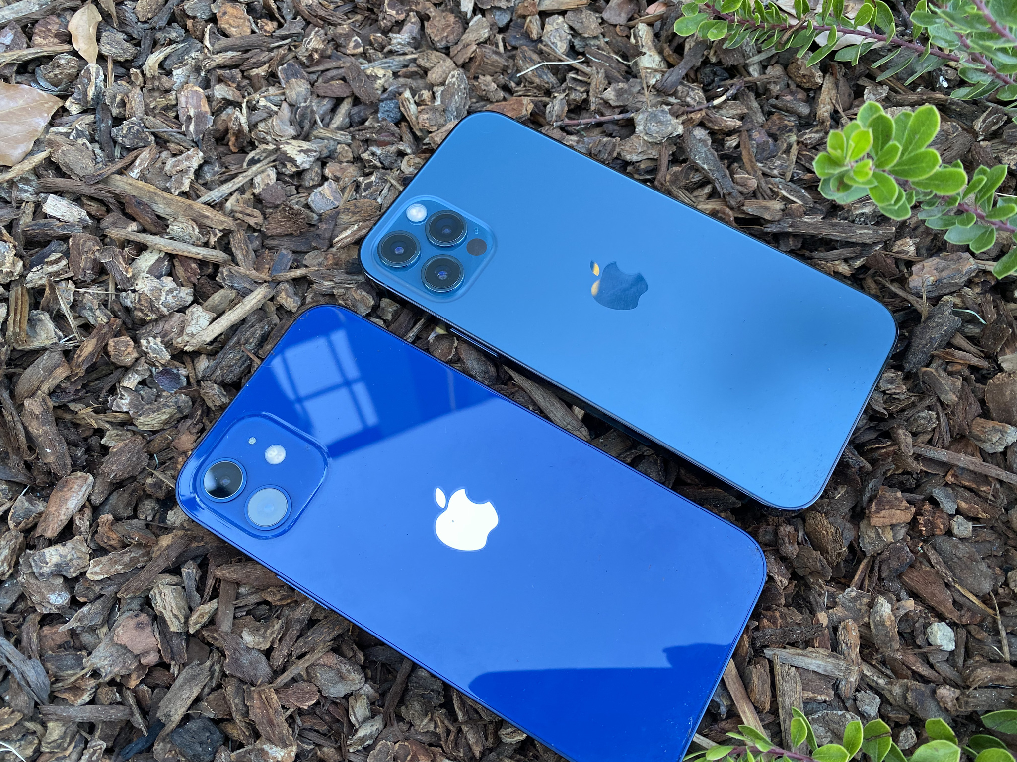 iPhone 12 Blue iPhone 12 Pro Pacific Blue