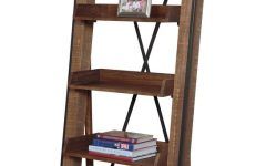 Leandra Ladder Bookcases