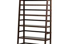 Wide Ladder Bookcases