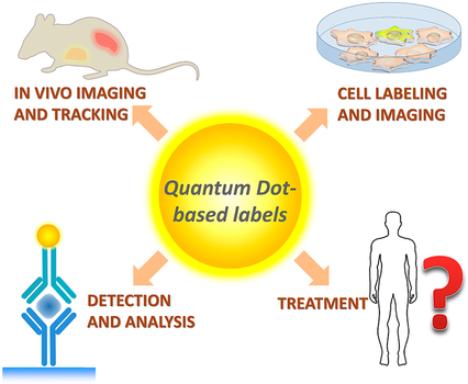 Quantum Dots Based Labels Uses 