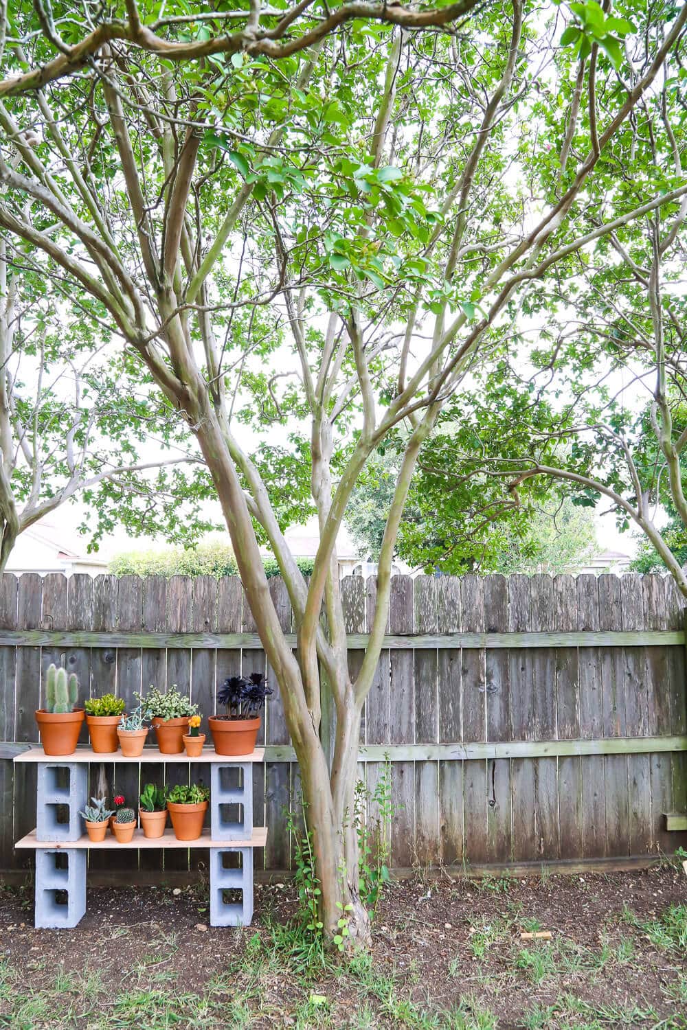 cinder block shelves with plants next to a fence