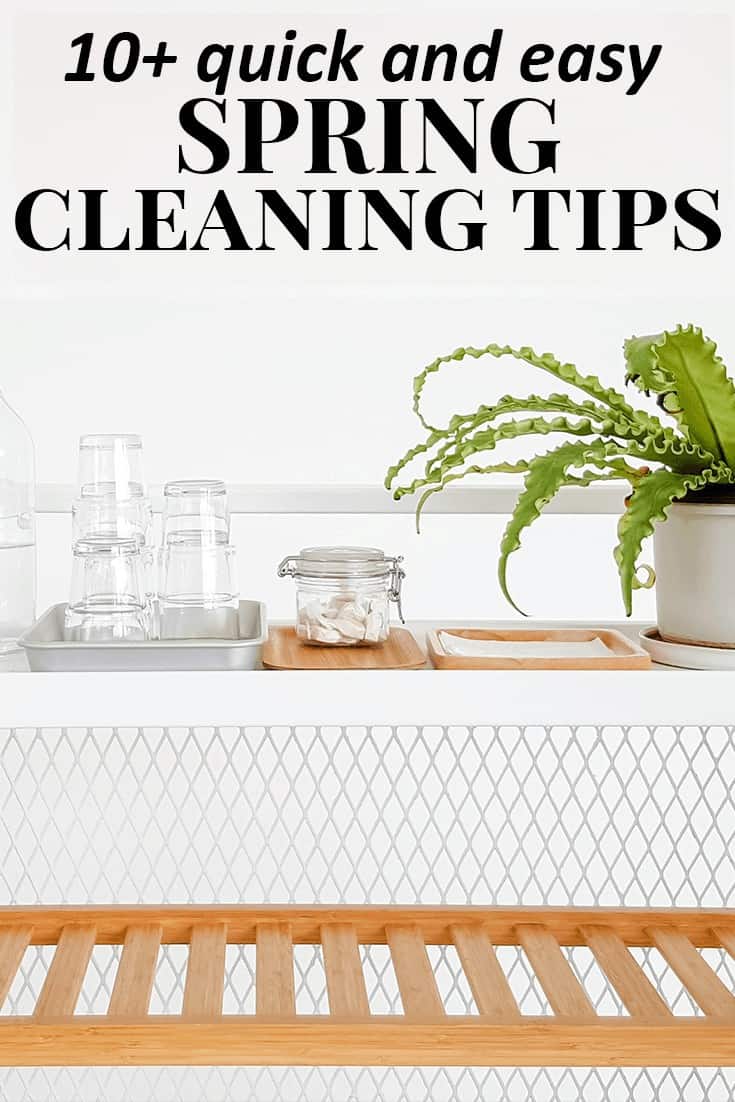 cleaning supplies and a plant on white background with text - 10+ quick and easy spring cleaning tips
