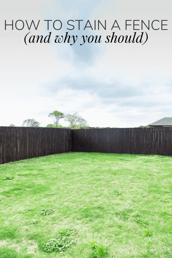 a dark brown fence with text overlay - how to stain a fence (and why you should)