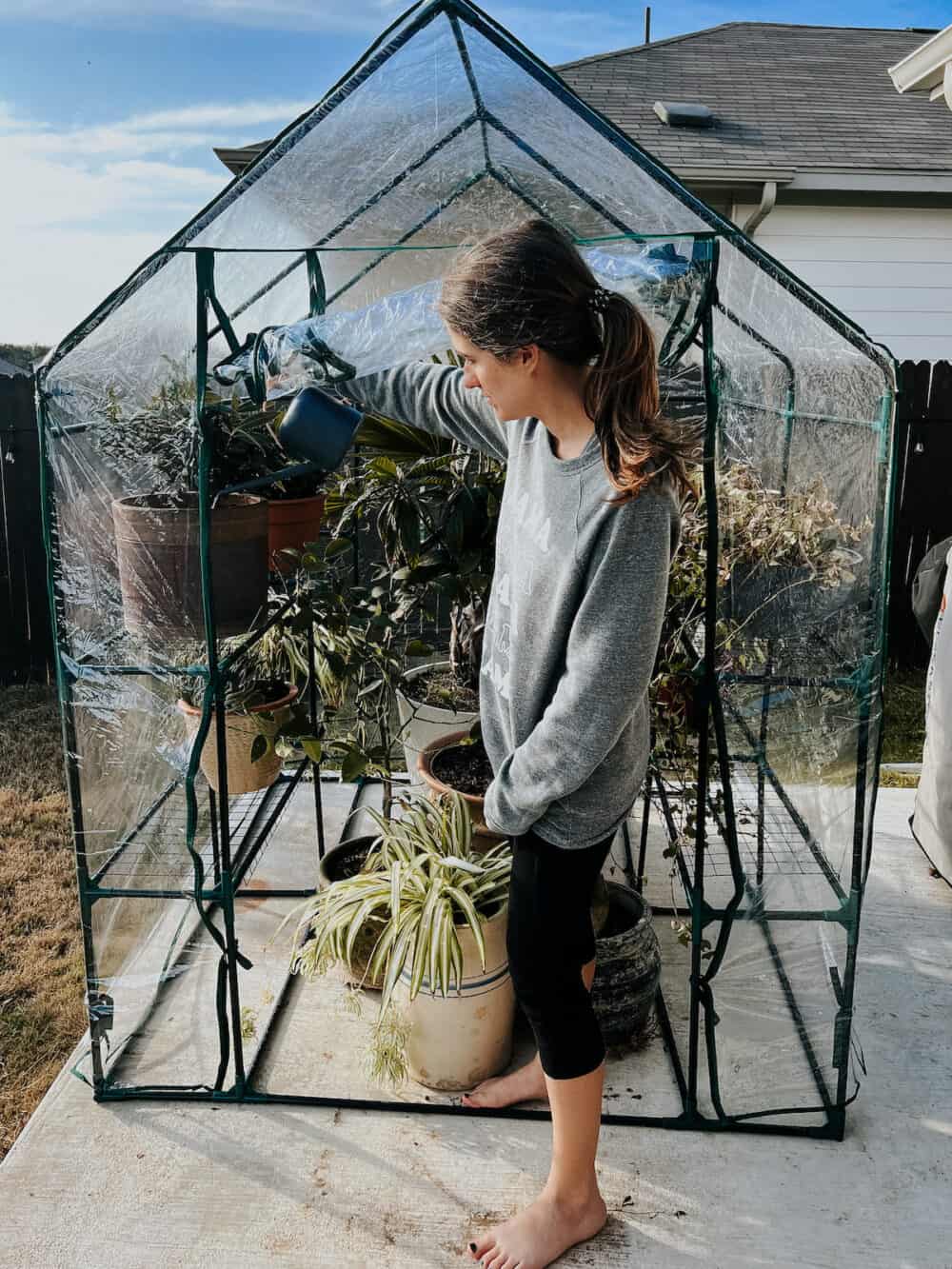 woman watering plants inside a portable greenhouse