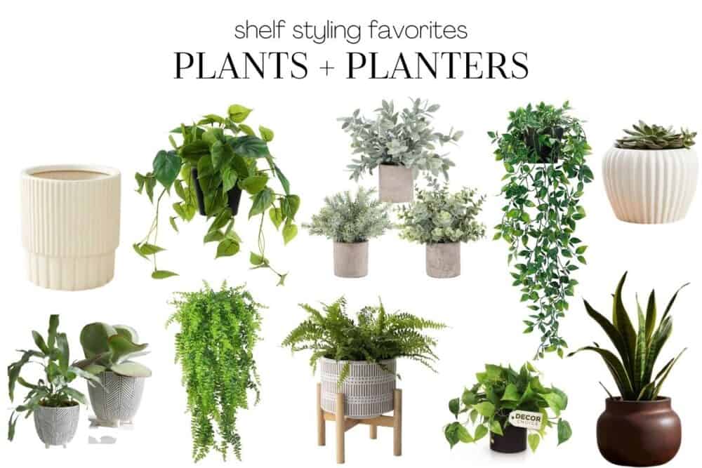 Collage of plants and planters for shelf decor 