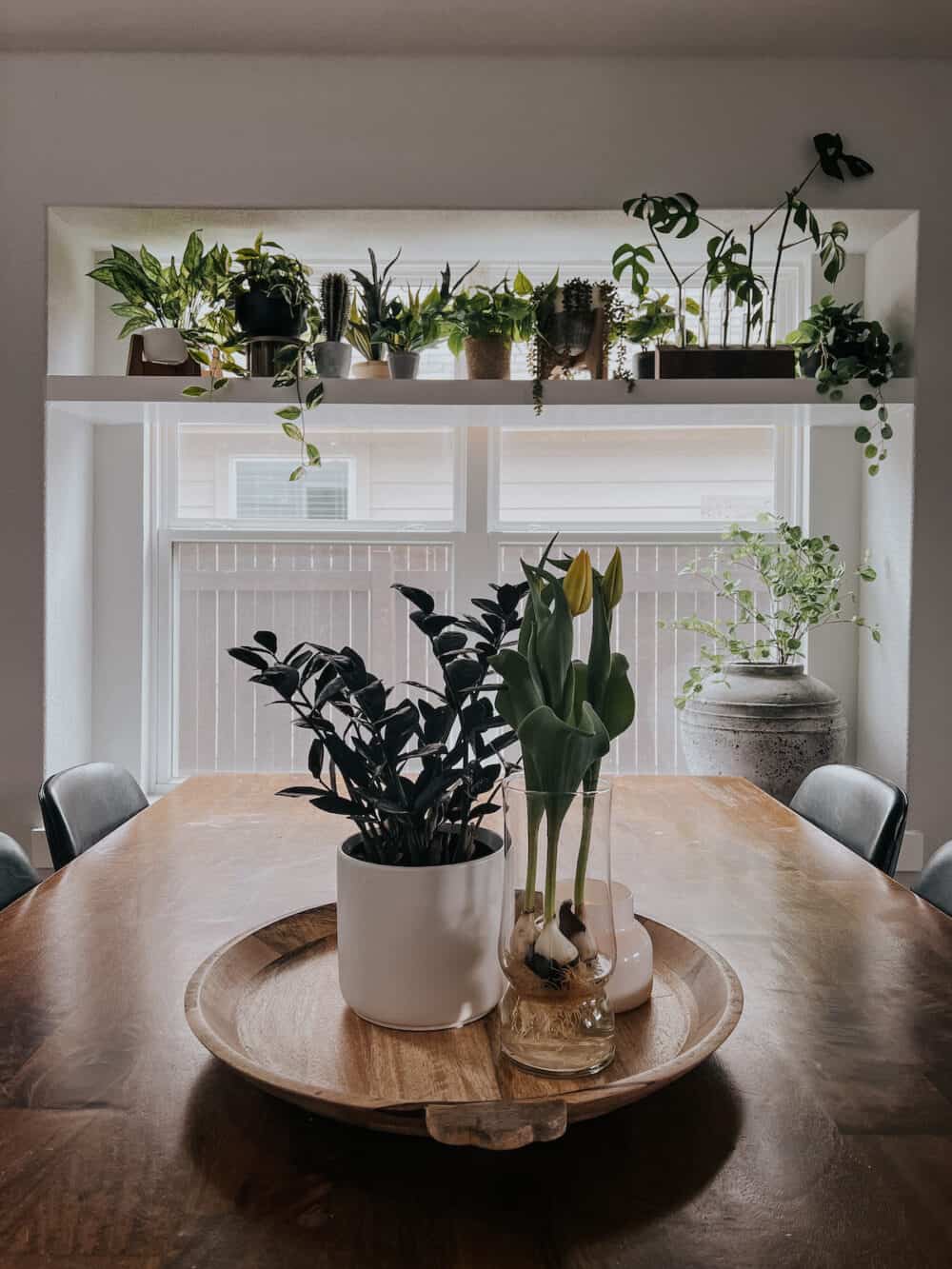 A dining table with plants on it, with a plant shelf in the background