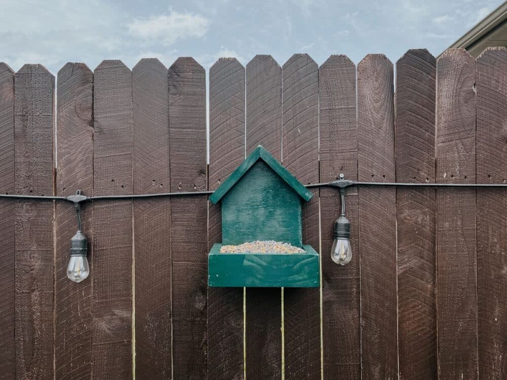 green bird feeder hanging on a fence 