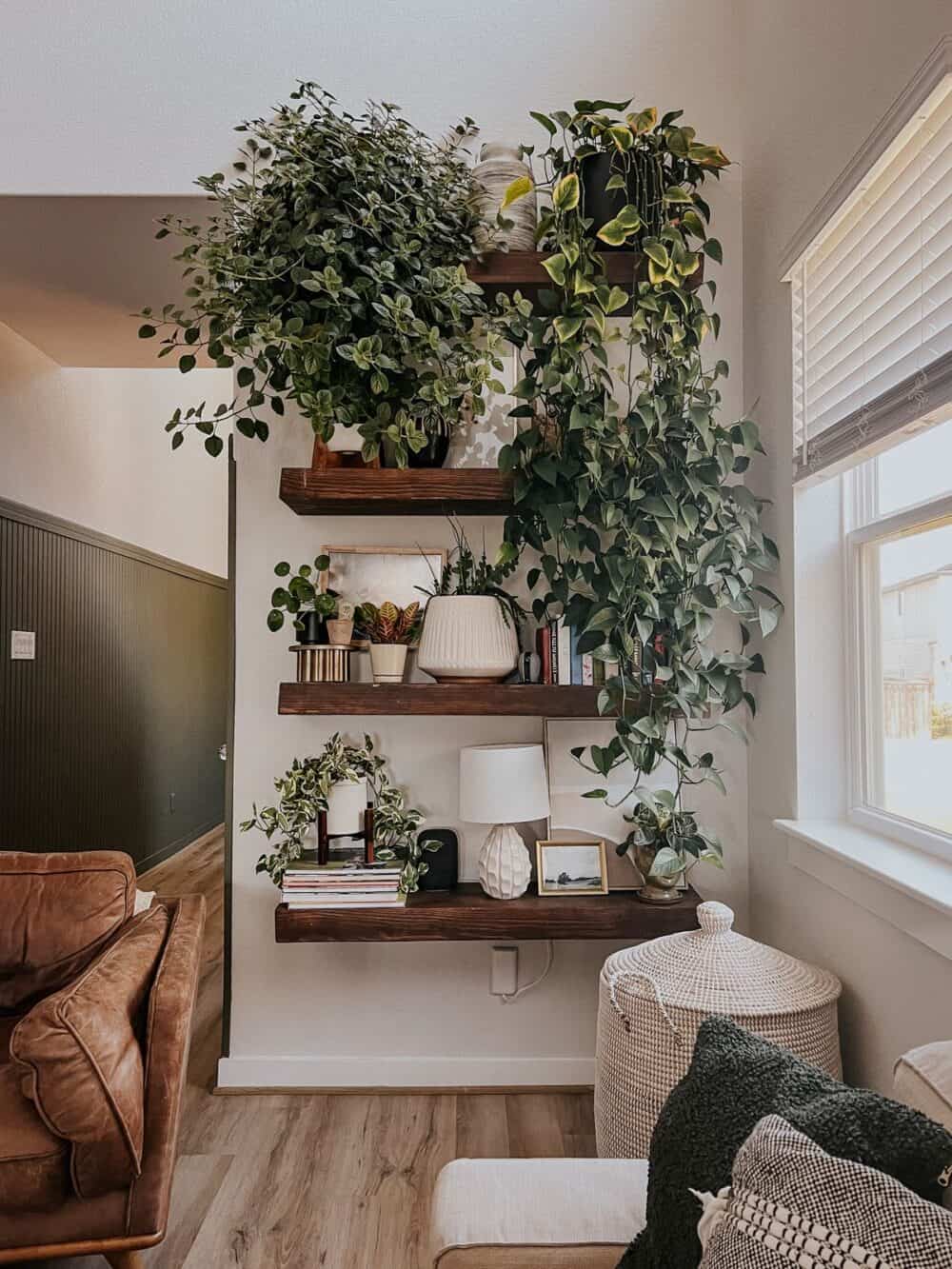 living room with floating shelves filled with plants 