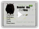 Breed All About It - Bouvier des Flandres
