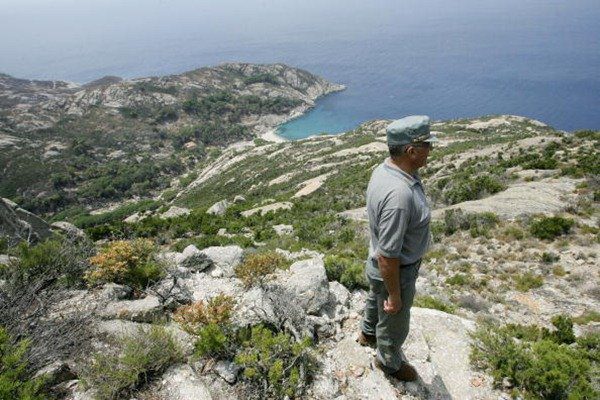 993-An Italian forestry worker watches the coast from a hill on the famous Montecristo island
