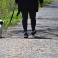 Consider When Going Out for a Walk with a Dog: Dog Walker Guide