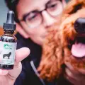 Simple Guide To CBD Oil For Dogs