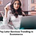 Pay Later Services for online shopping.