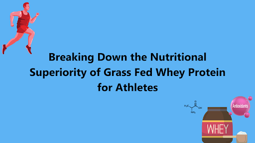 Breaking Down the Nutritional Superiority of Grass Fed Whey Protein for Athletes
