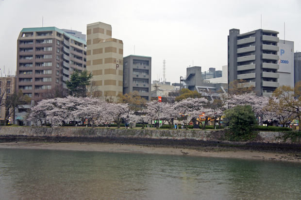 Sakura en Hiroshima