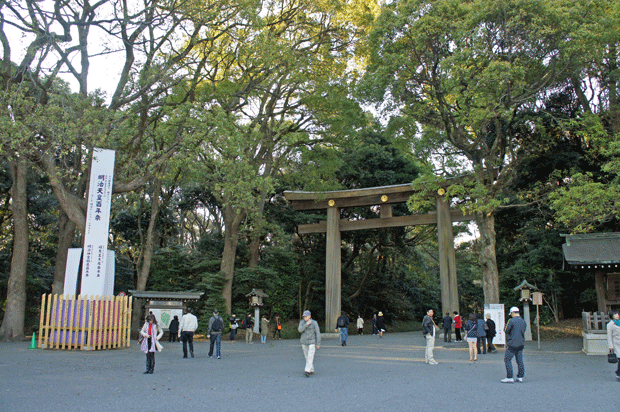 Parque-tokyo