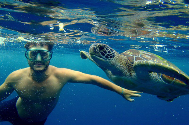 Buceano-con-tortugas