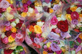 Mercado de las flores de Bangkok: una auténtica joya