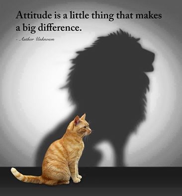 96321-A-Positive-Attitude