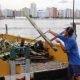 Mutirões de limpeza já removeram 3.800 toneladas de lixo em São Vicente
