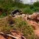 Descarte de irregular lixo em estrada de São Carlos incomoda moradores