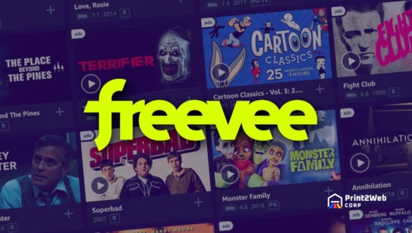 The Content Catalogue - Navigating Through Amazon Freevee's Media Library