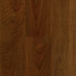 Abode Prime QLD Spotted Gum Swatch