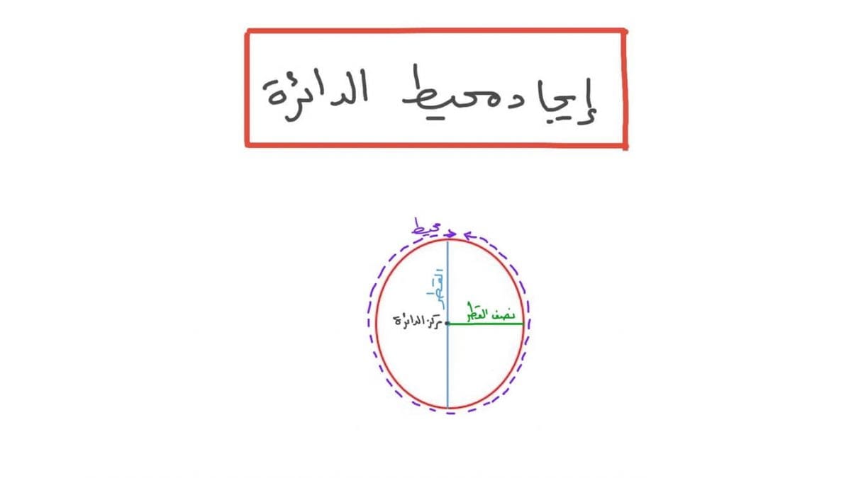 نسبة مساحة الدائرة التي طول نصف قطرها ر إلى محيطها تساوي