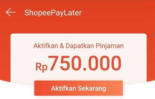 Tangkapan Layar Aplikasi Shopee dengan Fitur PayLater