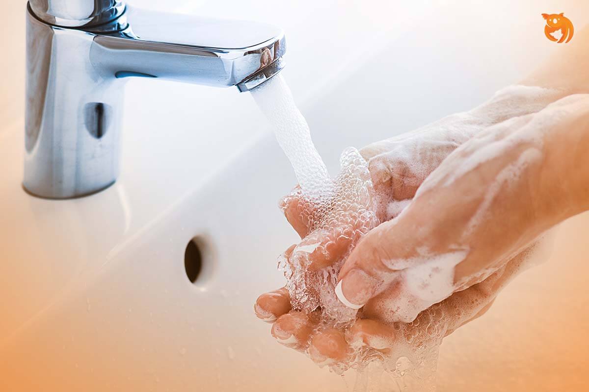 11 Cara Mencuci Tangan yang Benar Menurut WHO