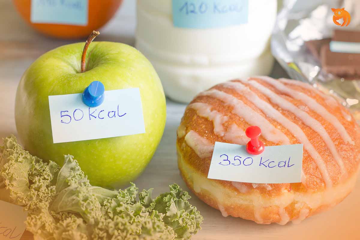Ini Dia Cara Menghitung Kalori Harian Tubuh dengan Mudah!