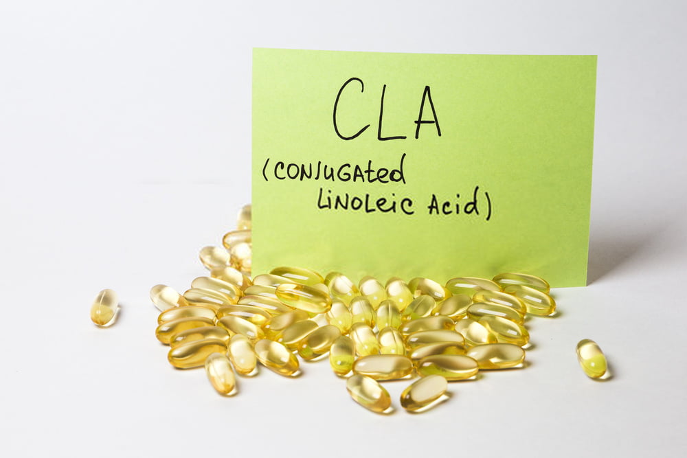 What does CLA conjugated linoleic acid do?