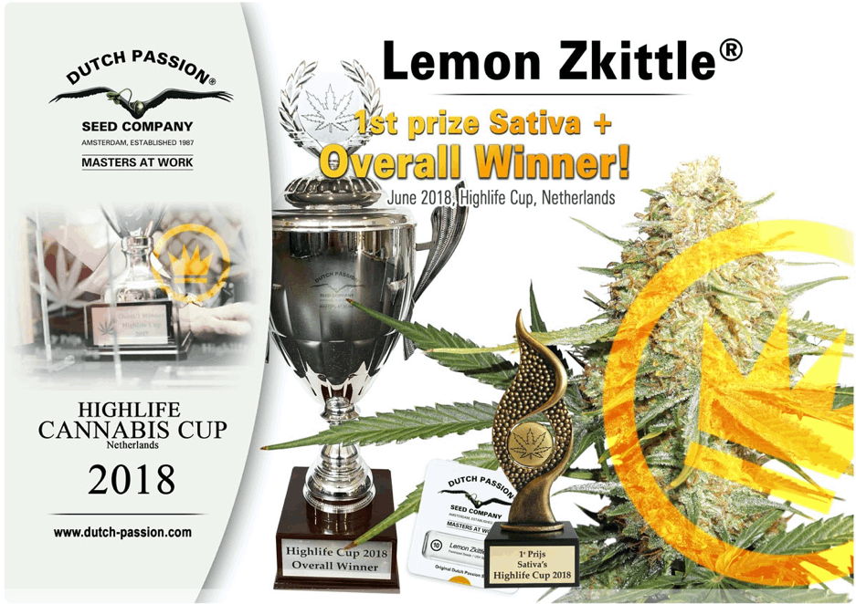 Dutch Passion - Lemon Zkittle Sativa 1st prize winner