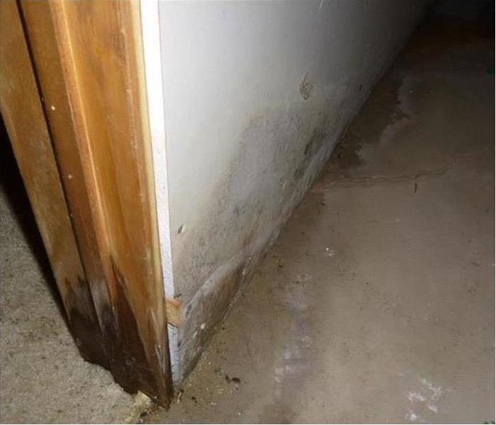 Water Heater Leak Leads To Mold Servpro Tackles The Job With Hepa