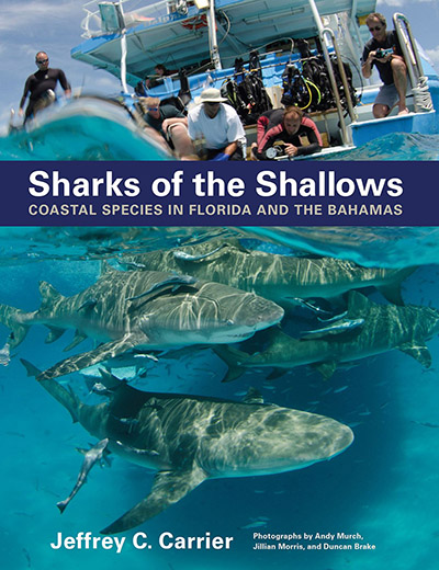 Sharks of the Shallows Book