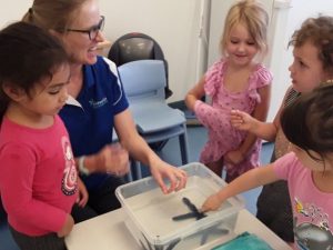 Interacting with live marine animals Deception Bay Child Care