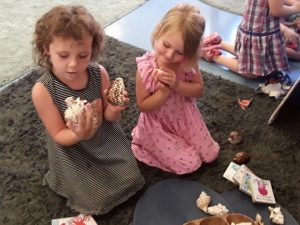 Interacting with shells and other marine artifacts Deception Bay Child Care