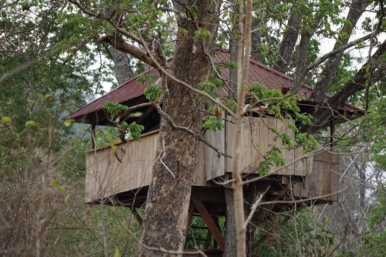 14 BEST Treehouse Rentals in Blue Ridge, Georgia