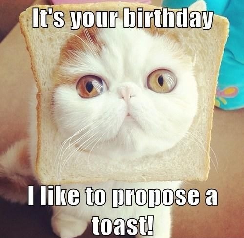 100+ Best & Funny Happy Birthday Memes of 2023 to Share as Happy Birthday  Wishes