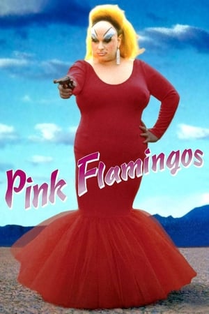 Stream Pink Flamingos (1972)