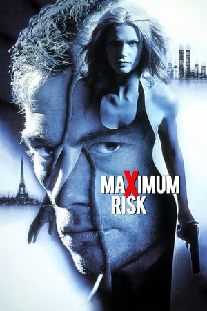 Watch Maximum Risk (1996)
