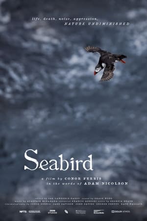 Stream Seabird (2021)