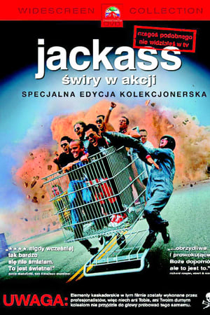 Watching Jackass świry w akcji (2002)