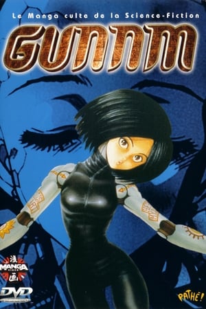 Gunnm (1993)