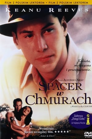 Spacer w chmurach (1995)