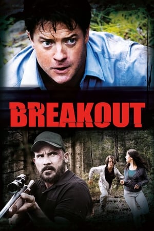 Stream Breakout (2013)
