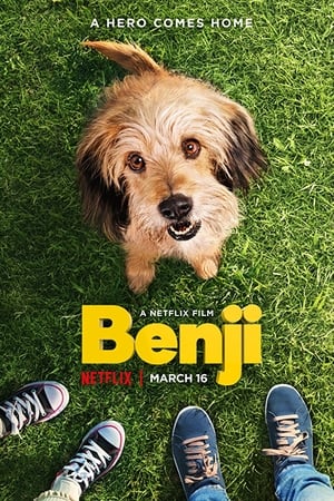 Watching Benji (2018)