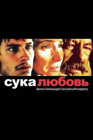 Сука-любовь (2000)